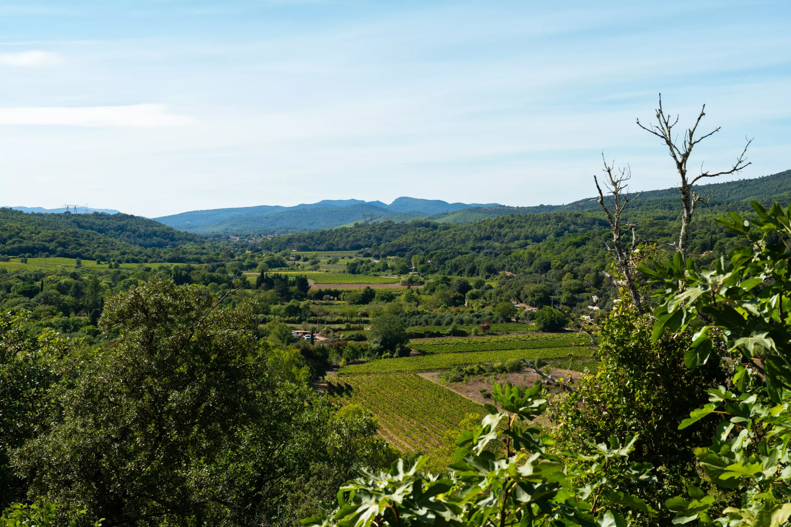 Villa Le Perchoir - Vue sur les vignobles de la colline.