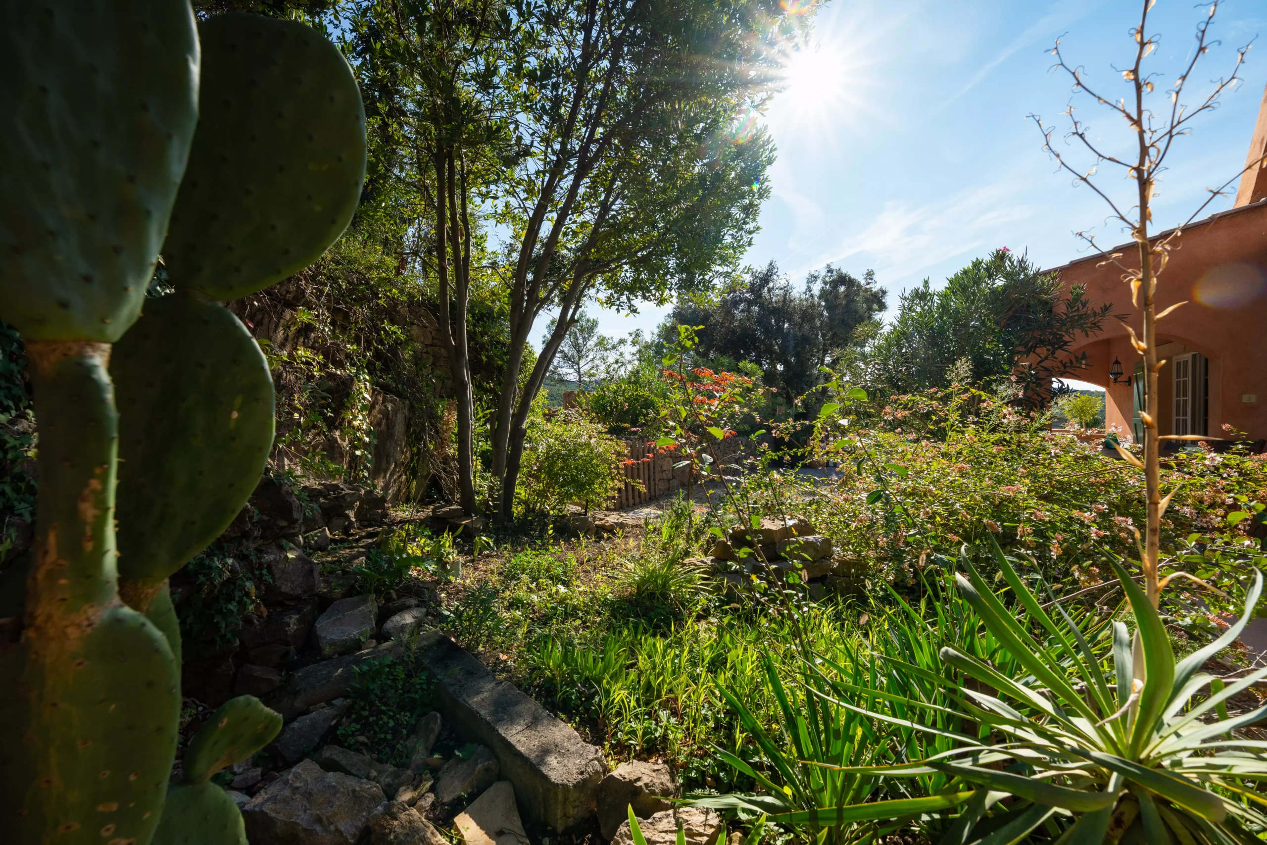 Villa Le Perchoir - Jardin méditerranéen.